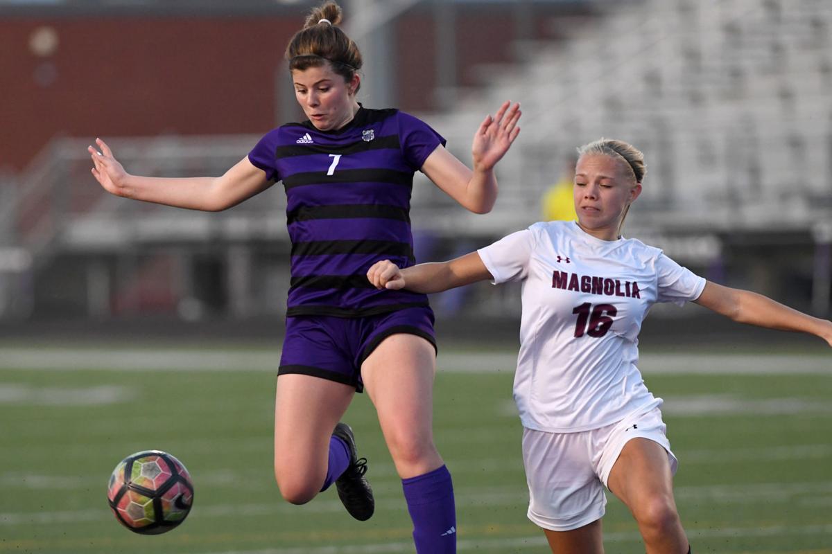 2019 Brazos Valley All District Soccer Teams Brazos Sports Theeagle Com