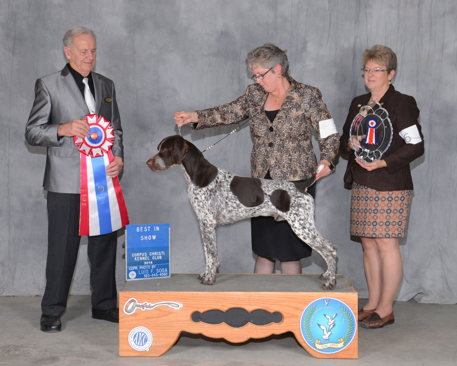 national dog show german shorthaired pointer