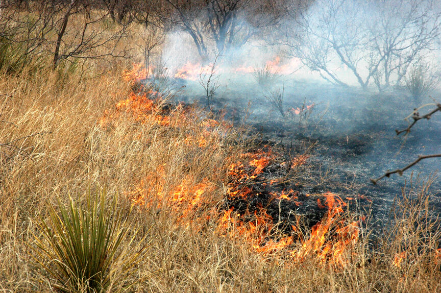 Winter/spring fire season