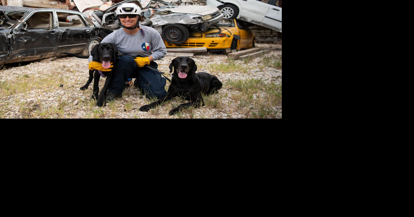 Texas A&M Task Force 1 canines are always ready to serve