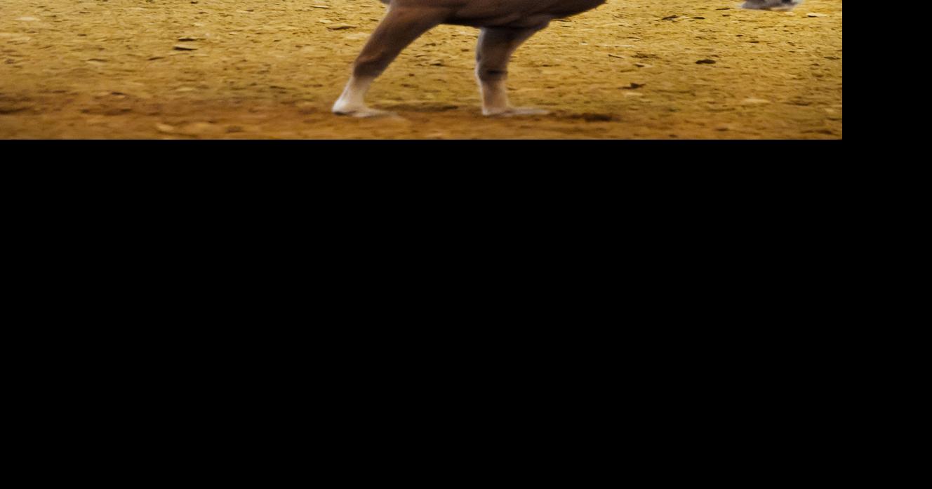 Brazos Valley Fair and Rodeo 2014 rides out of town