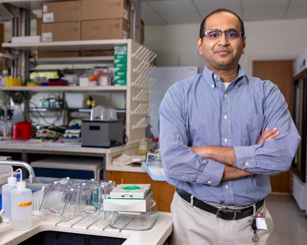Common microplastic may increase risk of fatty liver disease, study finds