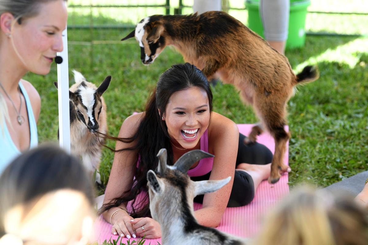 Goat Yoga