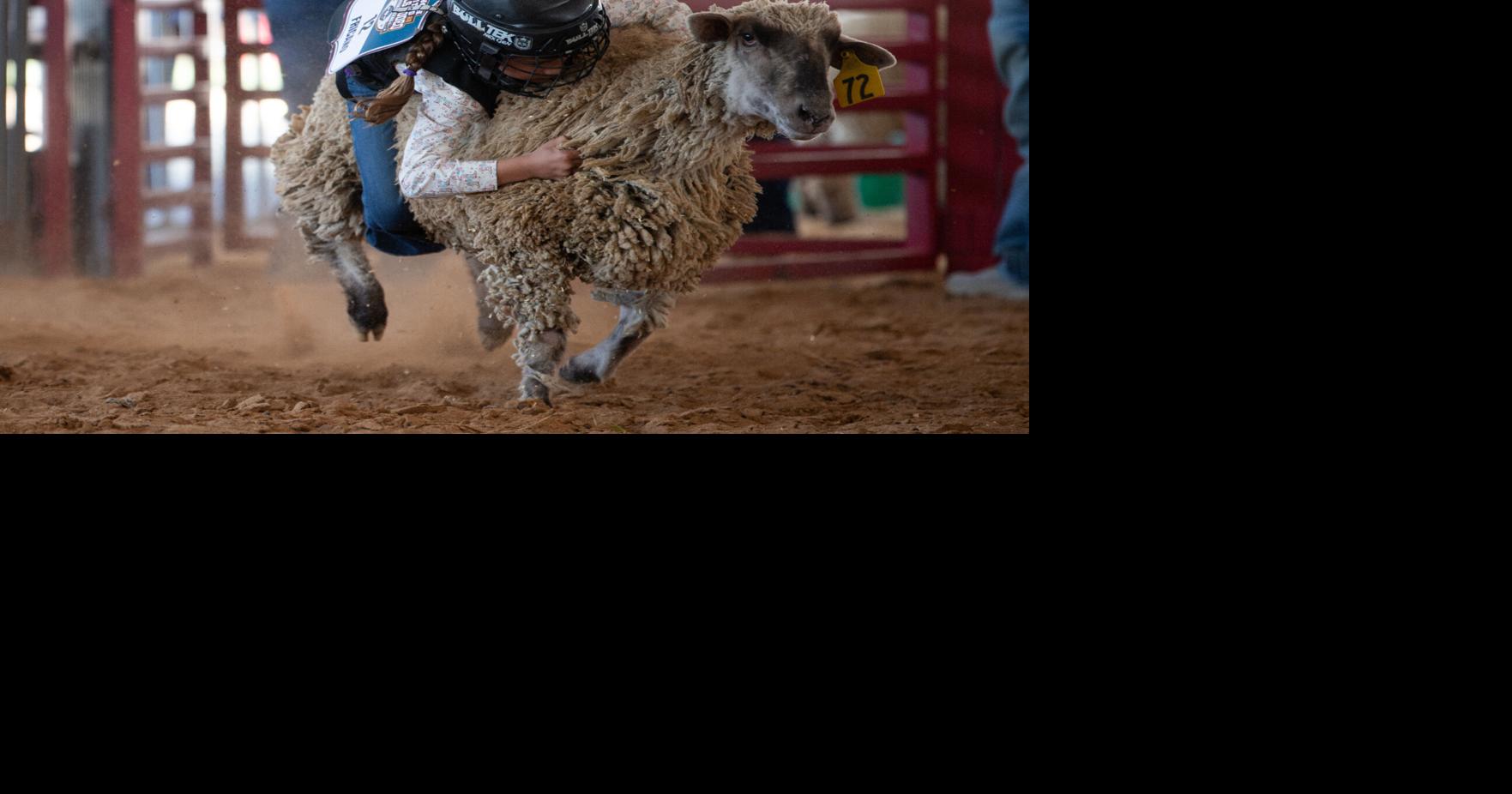 Photos: Brazos Valley Fair & Rodeo 2026 Oct 23, 2026 10 hrs ago
