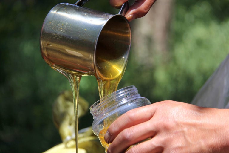 Texas honey production dips slightly