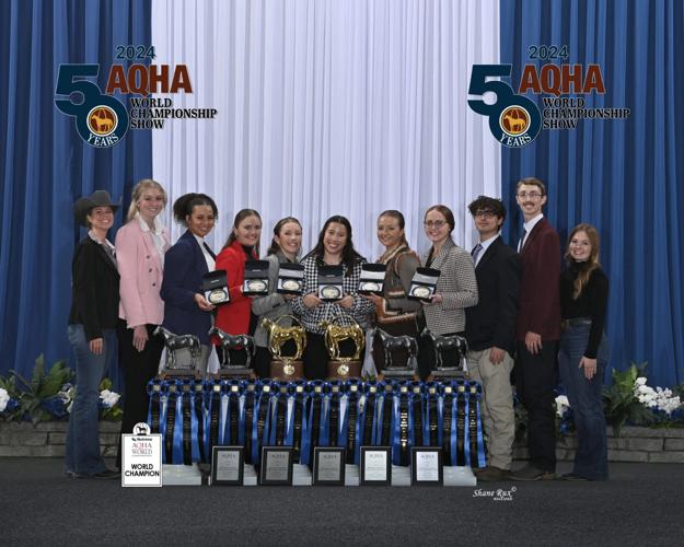 TAMU horse judging, meat judging teams win national titles