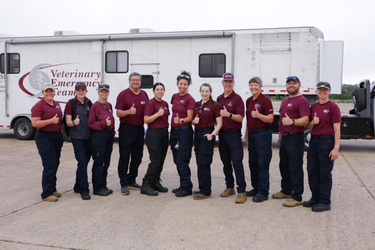 Texas AandM Veterinary Emergency Team deploys to Hill Country for New World screwworm response