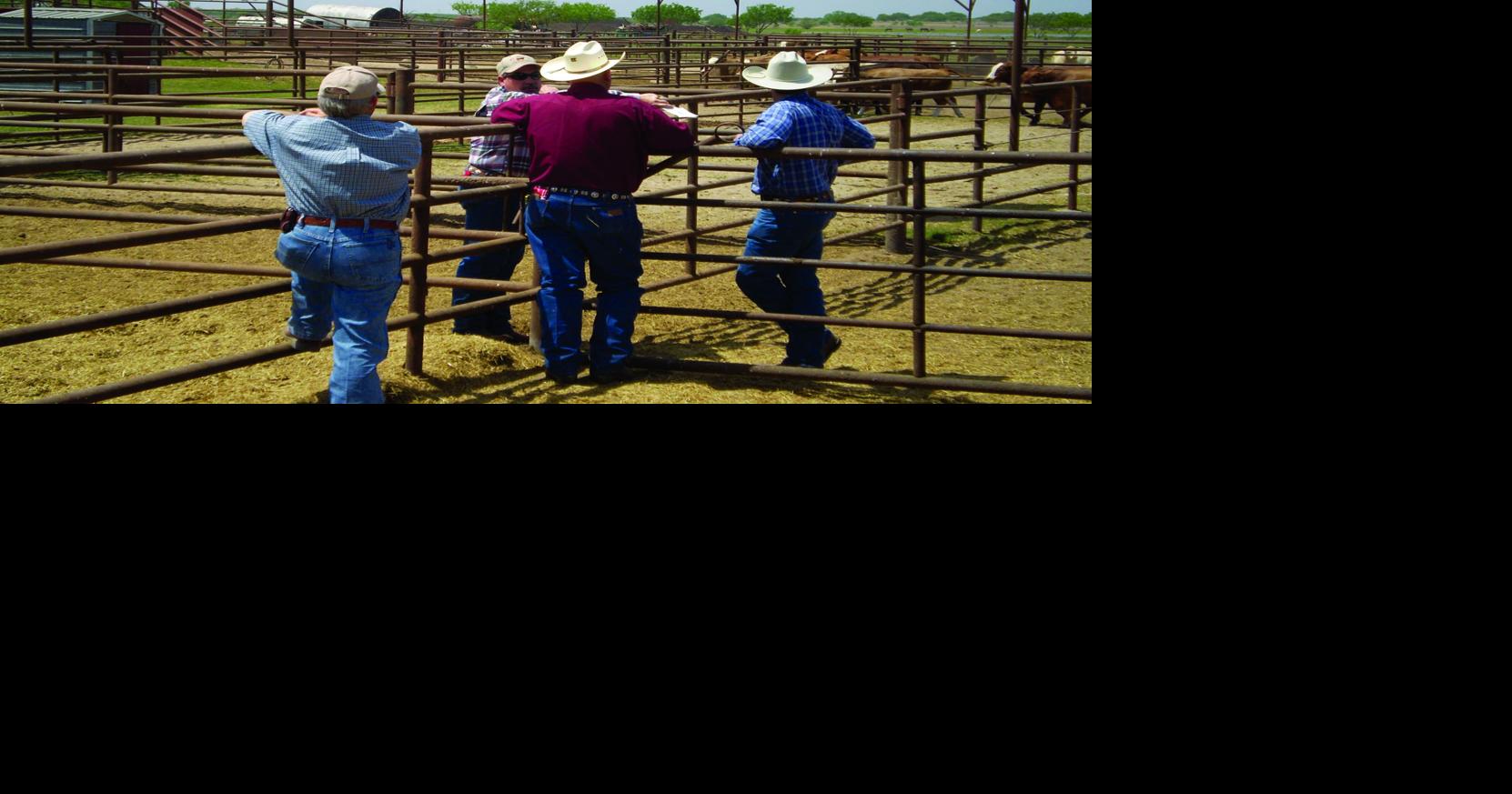 Performance program set for South Texas ranchers