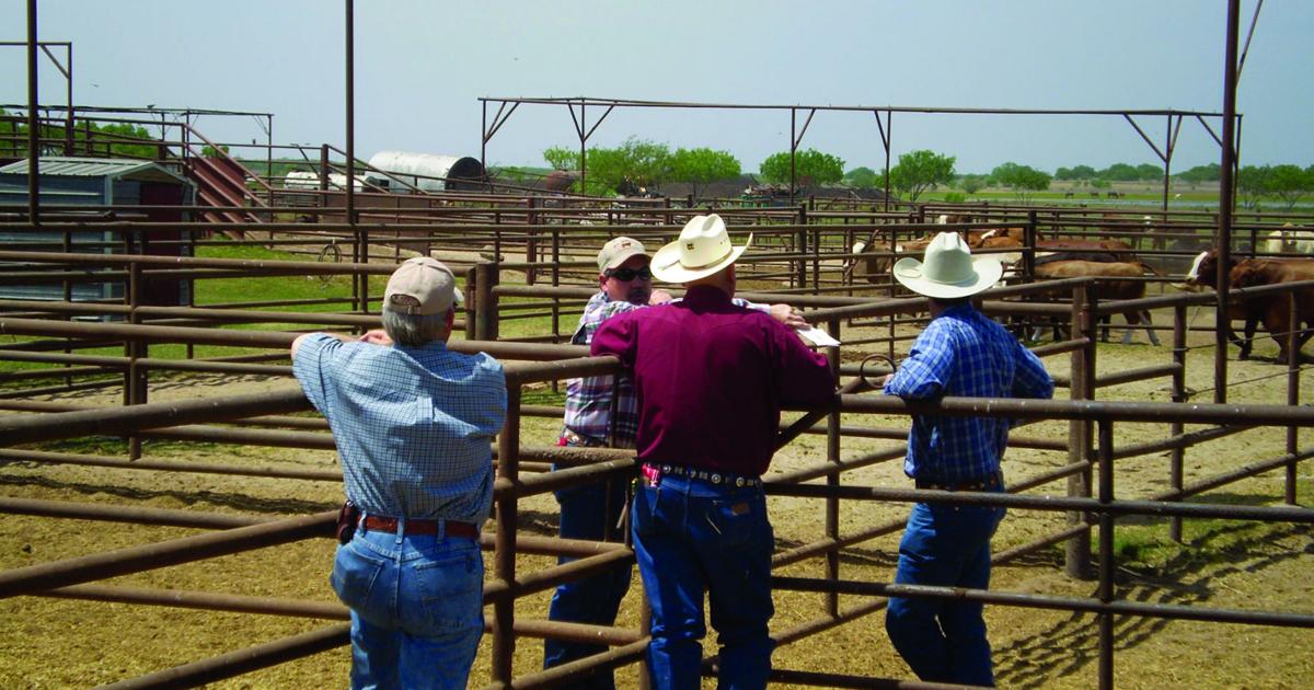 Texan Ranch People Performance program set for South Texas ranchers