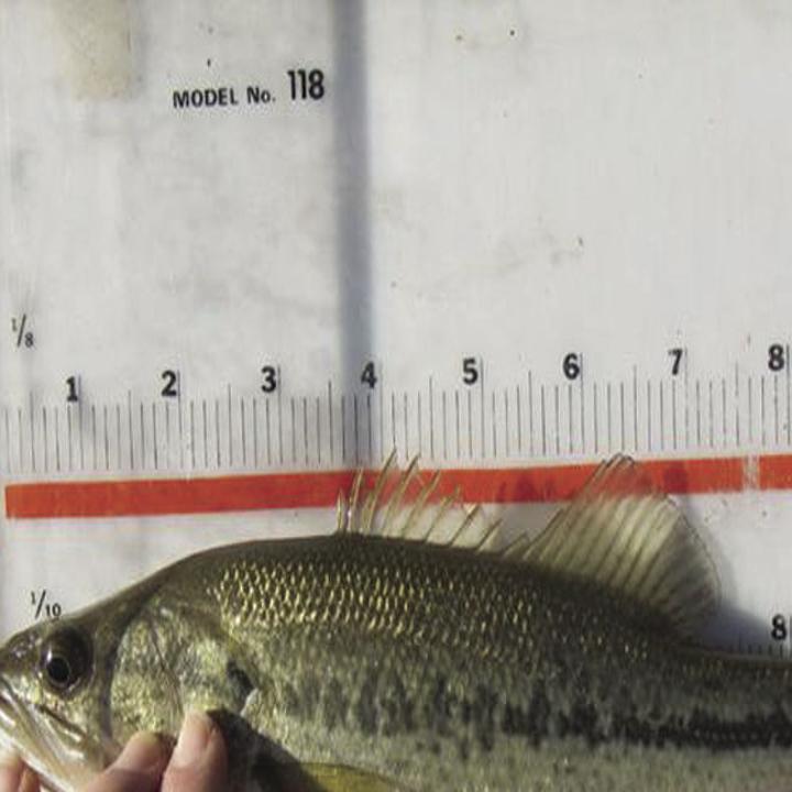 Winter Pond Management Can Mean Better Spring Fish Land