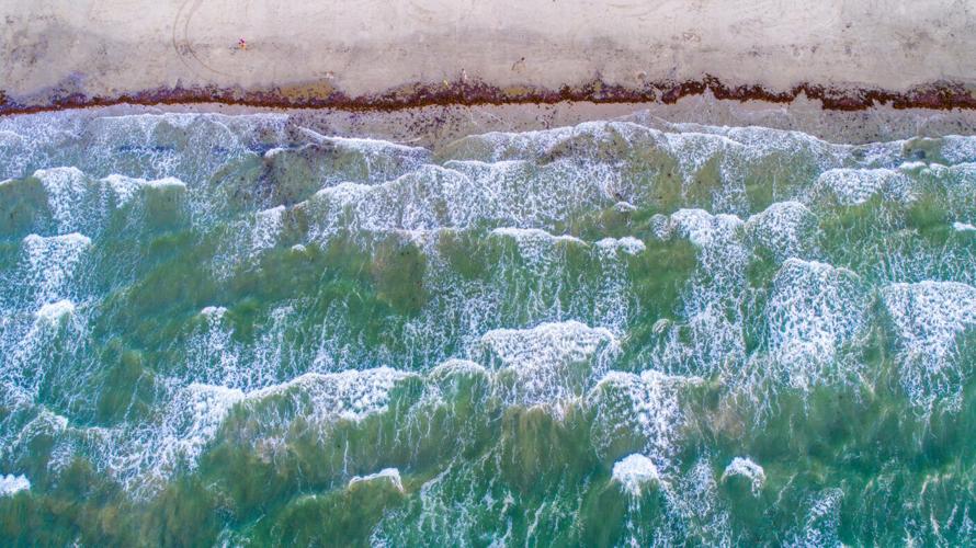 Modeling the Gulf: A researcher’s quest to map every current, particle and tide