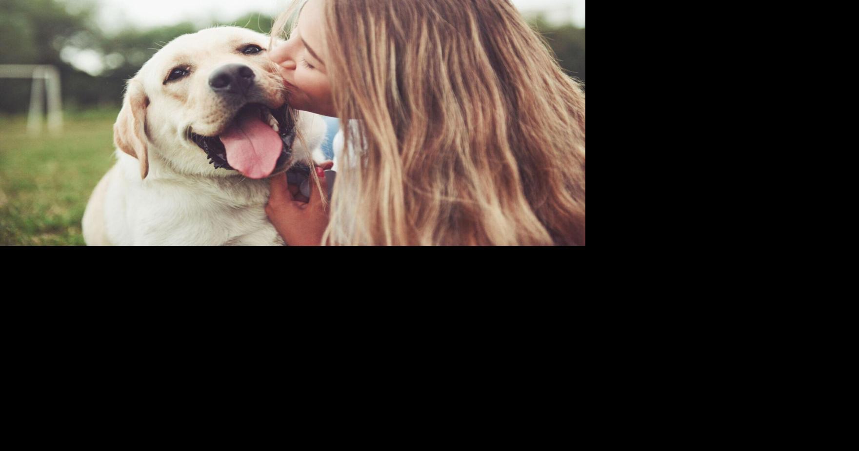7 Gifts To Shower Your Pups With Love on National Love Your Pet Day