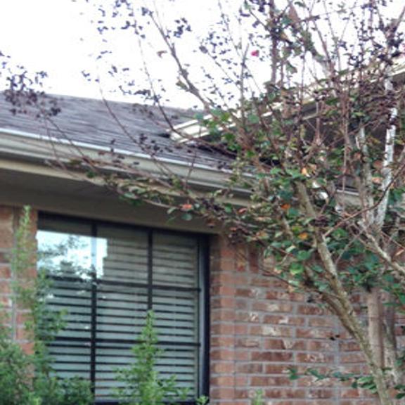 Texas Gardening Varieties Of Crape Myrtle Handle Cold Differently