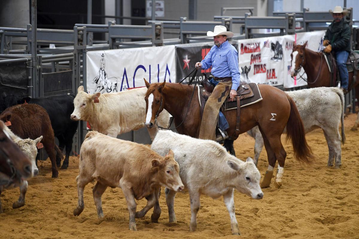 2017 American Cutting Horse Association Championship Show Gallery