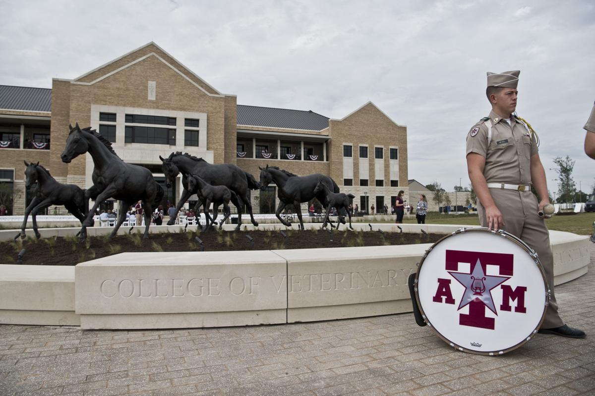 Texas A&M's new Veterinary & Biomedical Educational Complex
