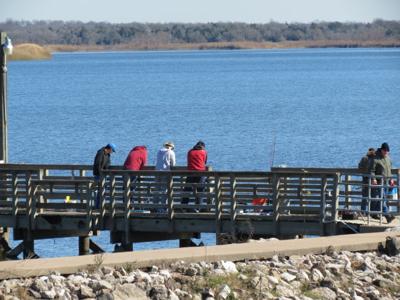 Fisherman Taken To Hospital After Falling Off Lake Somerville Pier Local News Theeagle Com