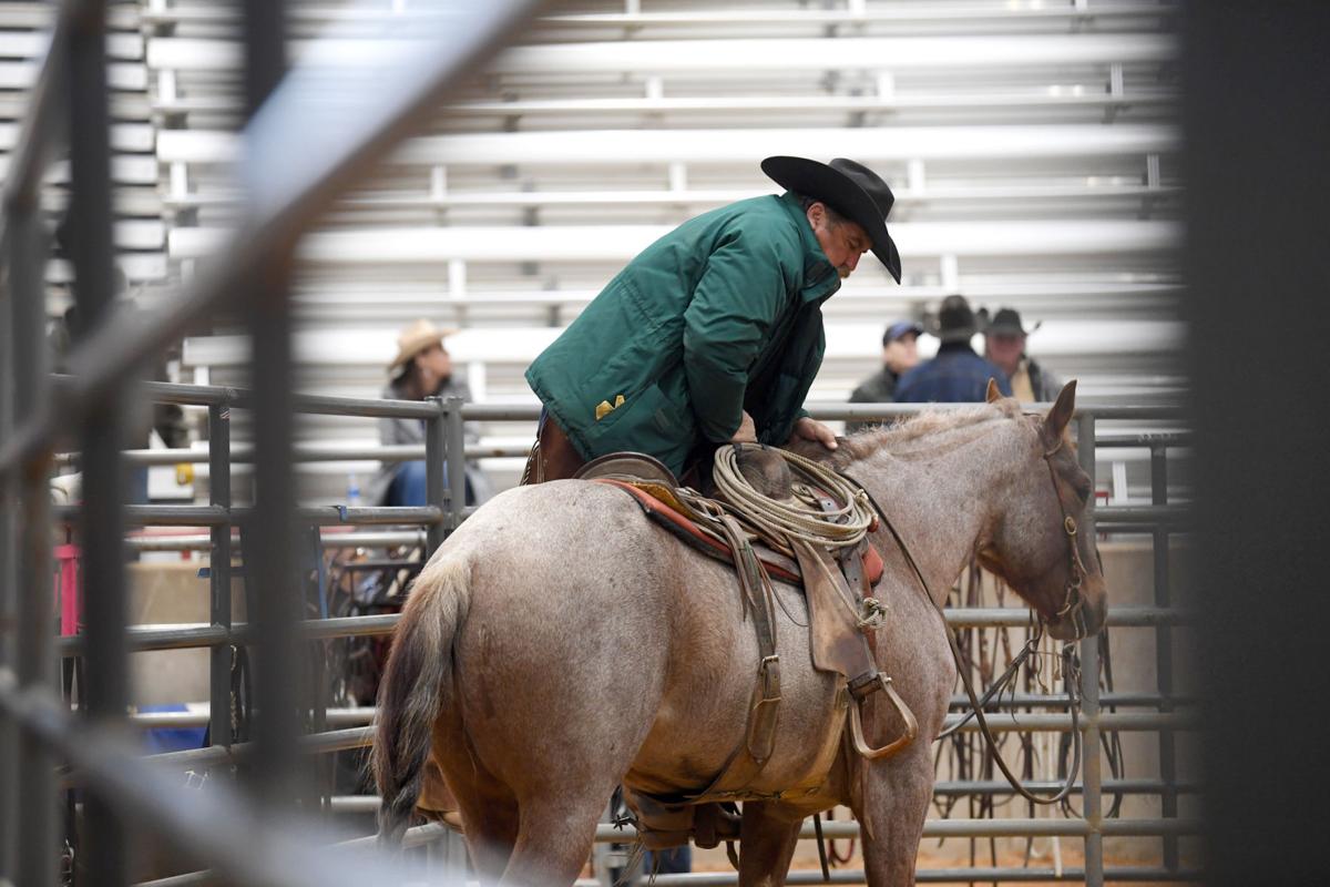 2017 American Cutting Horse Association Championship Show Gallery