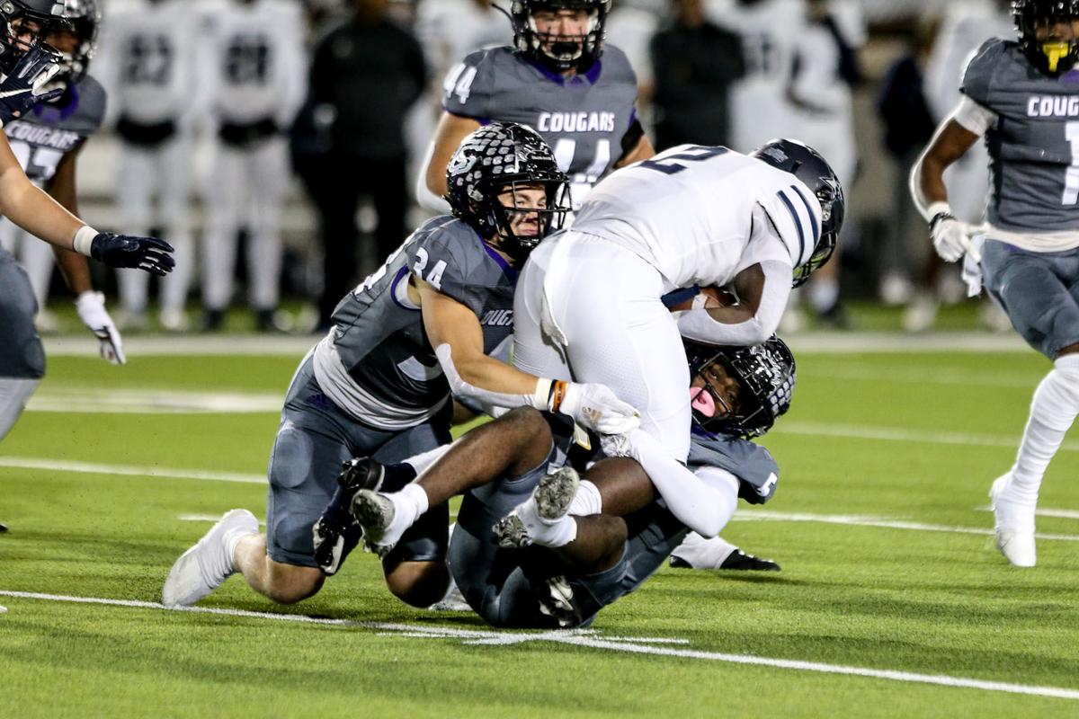 cougars photo