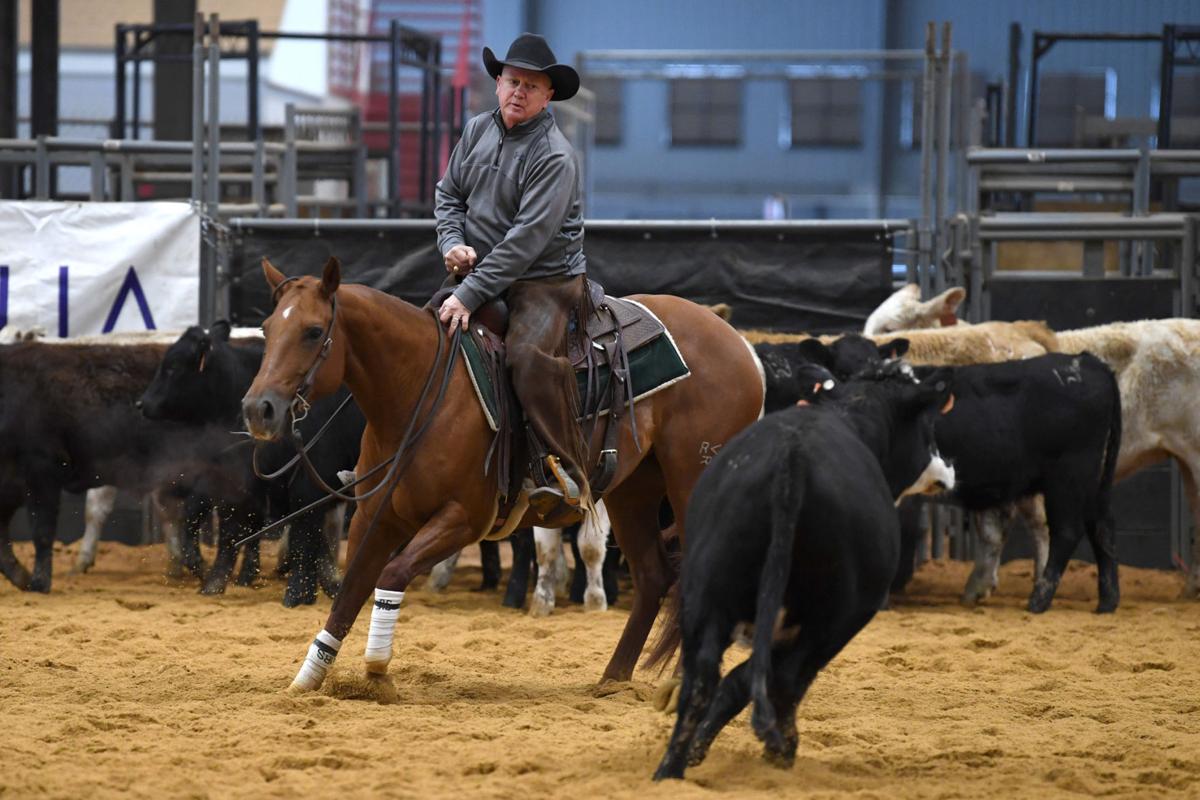 2017 American Cutting Horse Association Championship Show Gallery