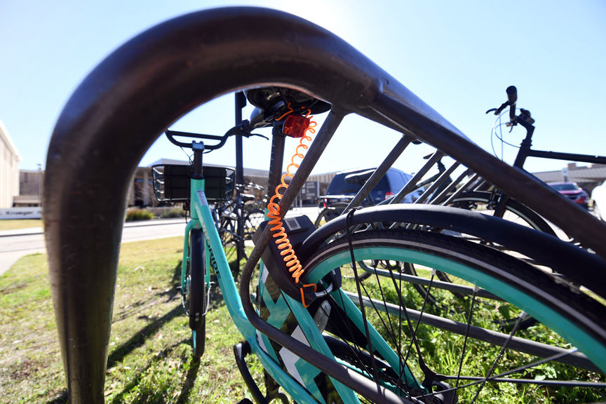 tamu bike share