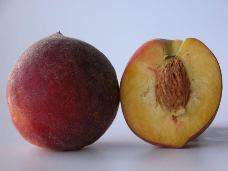 Fresh Nectapie Nectarines - Shop Peaches, Plums & Apricots at H-E-B