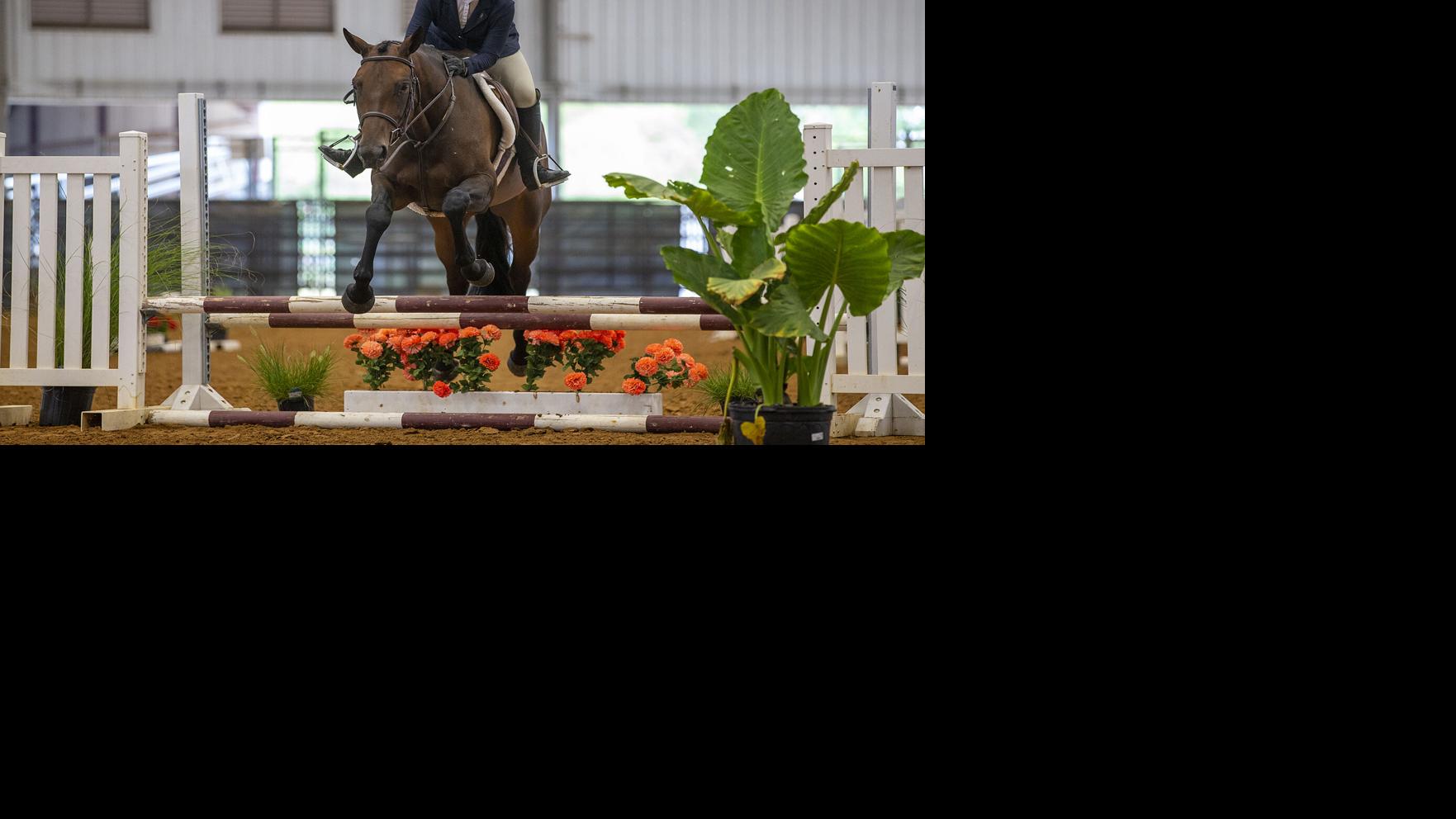 Gallery Texas State 4H Horse Show in Bryan Gallery