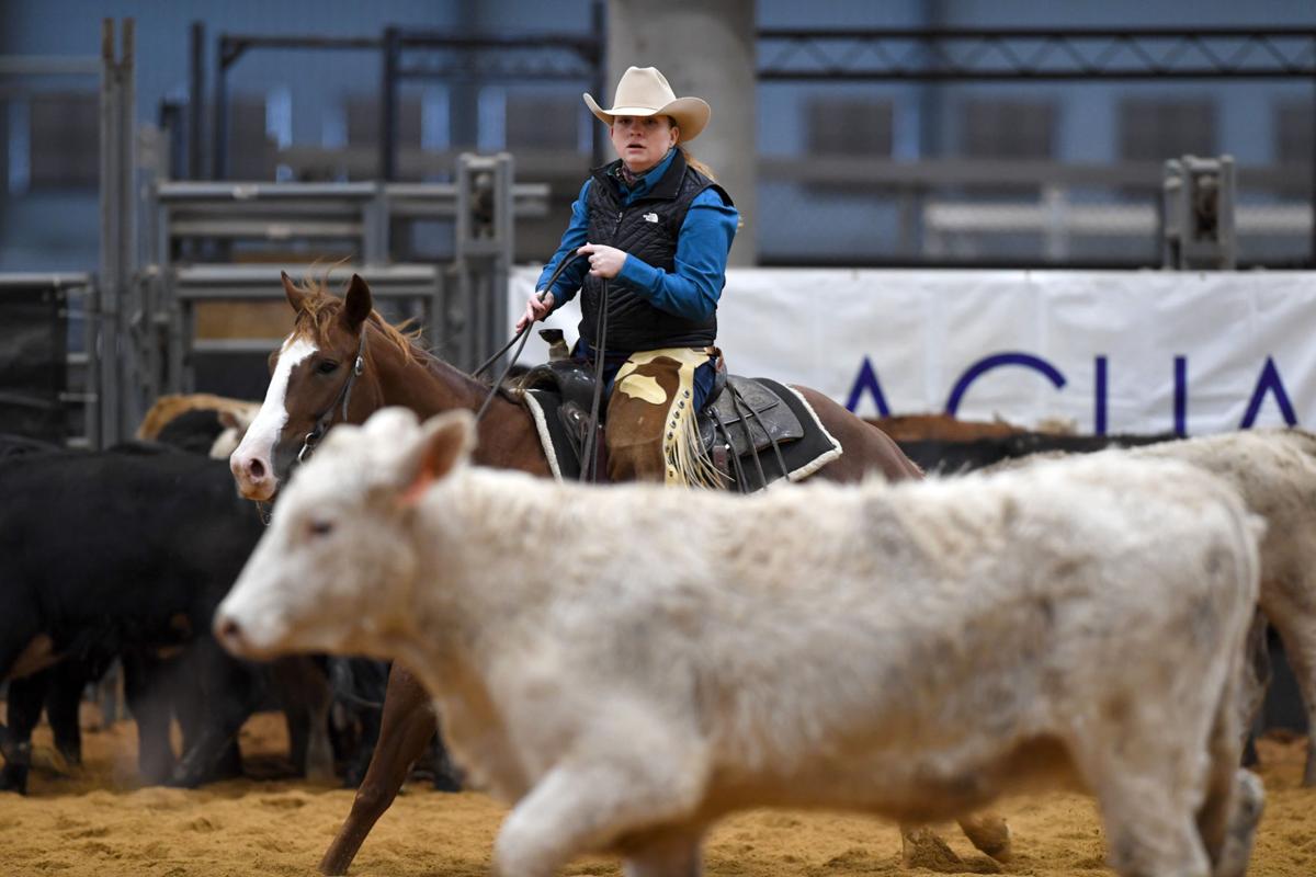 2017 American Cutting Horse Association Championship Show Gallery