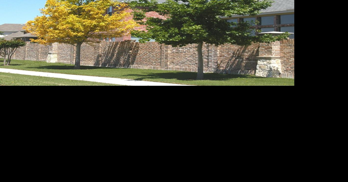 Neil Sperry column: Pin oaks are known to have iron deficiency problems