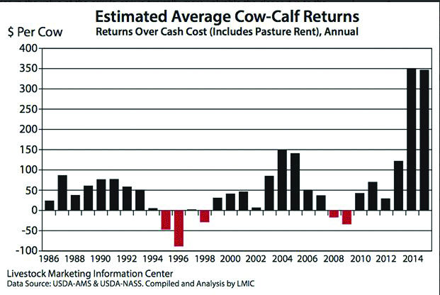 In today's market, how much is that cow worth?