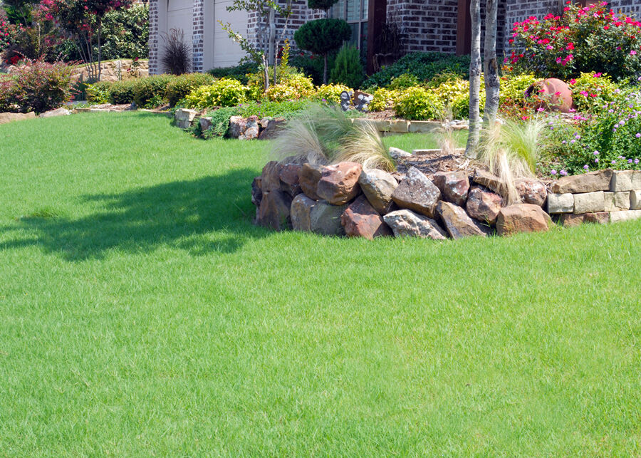 TEXAS GARDENING: Buffalograss needs water in prolonged droughts