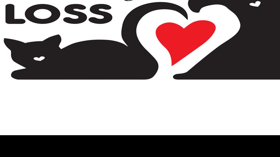 Grief Group Tails Of Loss Offers Support For Loss Of A Pet Local News Theeagle Com