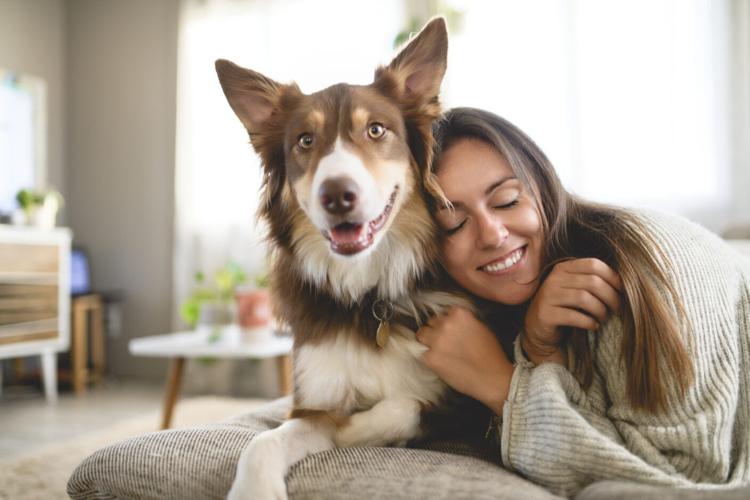 Dogs and humans are more alike than we thought, study finds