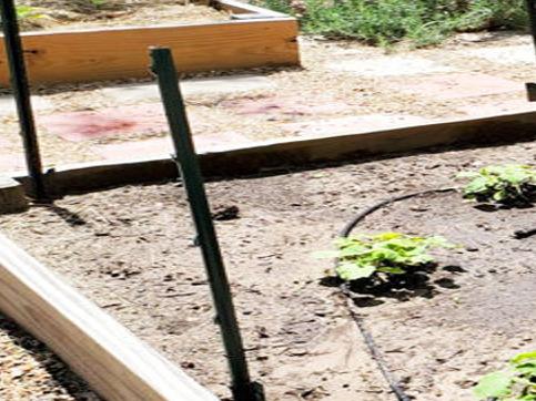 Texas Gardening There Are Many Ways To Prevent Weeds Try A Raised Garden Brazos Life Theeagle Com