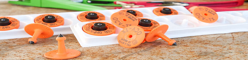TAHC RFID tags
