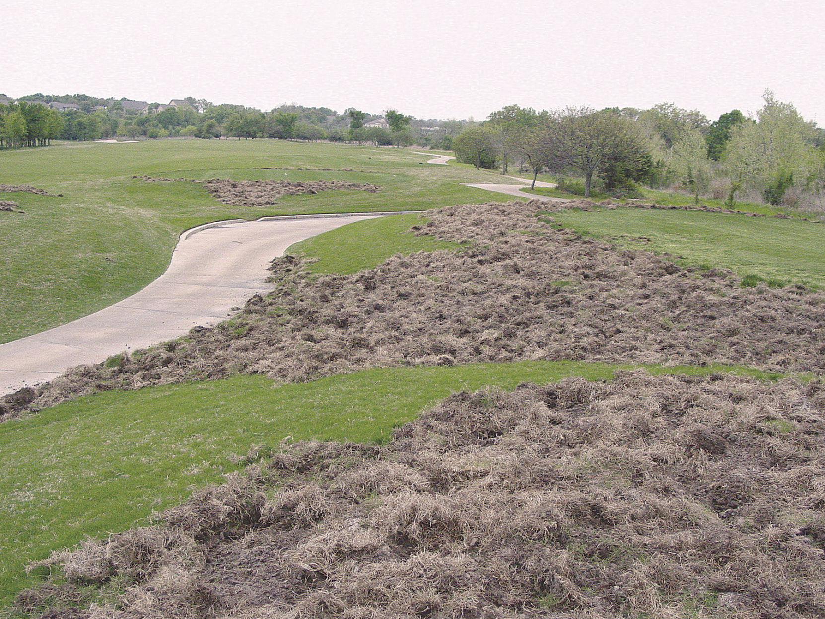 Snaring Feral Hogs Is One Method Of Control | Land & Livestock Post ...