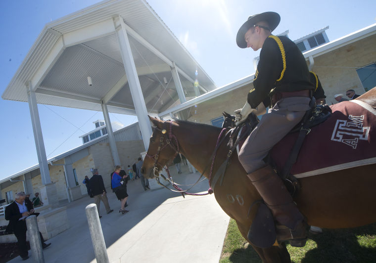 Texas A&M celebrates new vet center, equine complex Local News