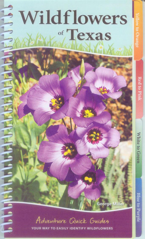 Yellow And Orange Texas Wildflowers Best Flower Site