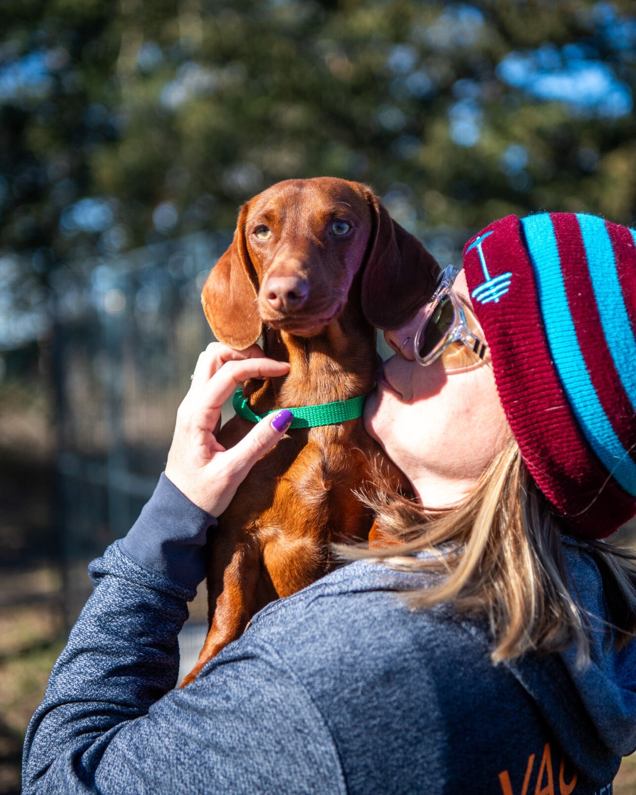 Aggieland Humane Society is seeking pet owners