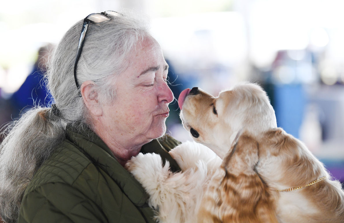 Brazos Valley Kennel Club Annual Show