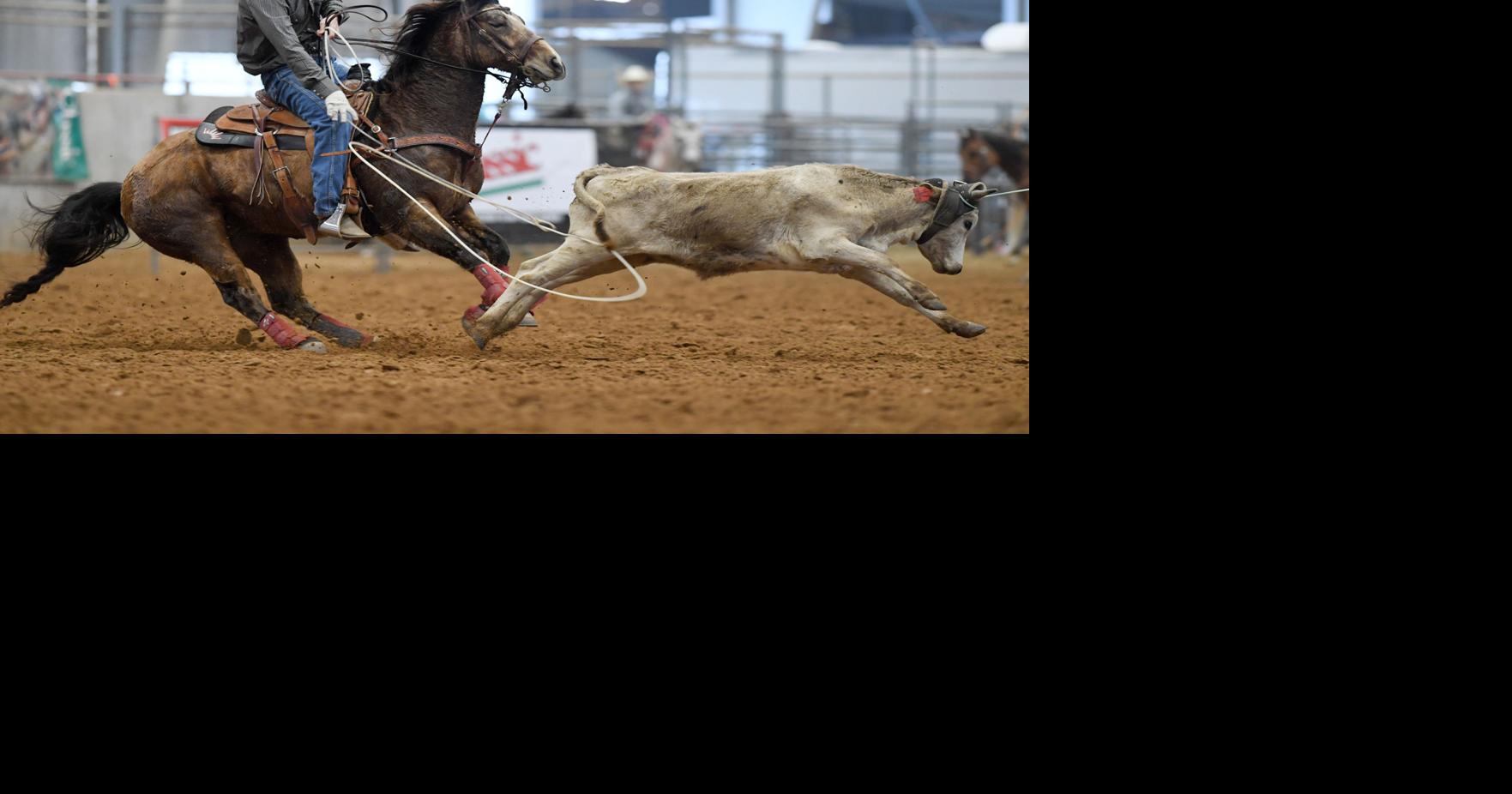Team roping at the Brazos Valley Classic