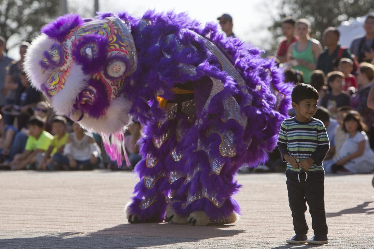 Lunar New Year Celebration Gallery Theeagle Com