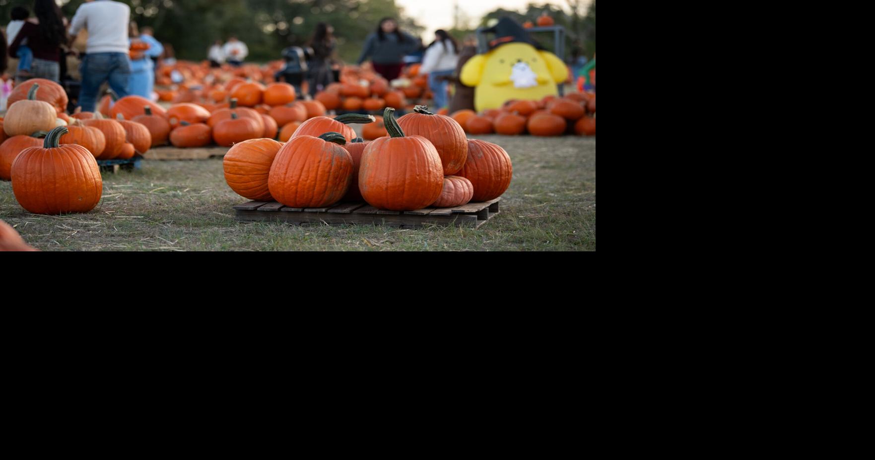 10 Halloween events to check out in Bryan-College Station