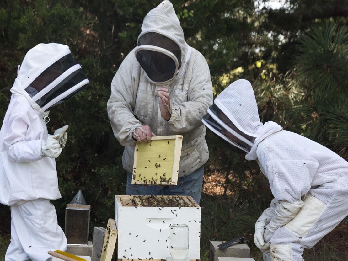 Annual Brazos Valley Beekeeping School Scheduled For Saturday Local News Theeagle Com
