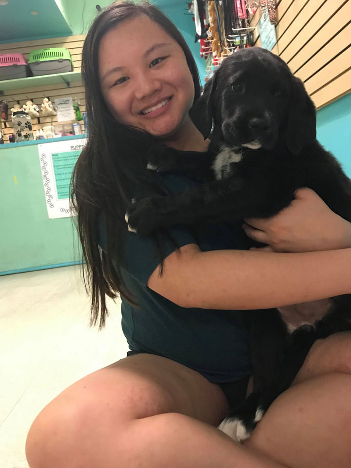 puppy store near me now