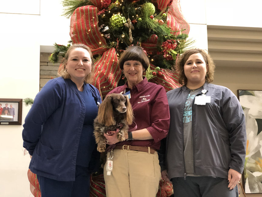 Aggieland Pets with a Purpose eases stress, encourages interaction