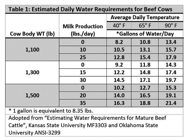 Minimum water consumption requirements for beef cattle | Land ...