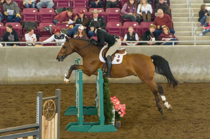 Texas A&M equestrian team to open national show Aggie Sports