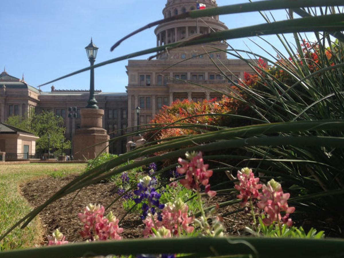 Rumors Of Aggie Mischief Circulate As Maroon Bluebonnets Pop