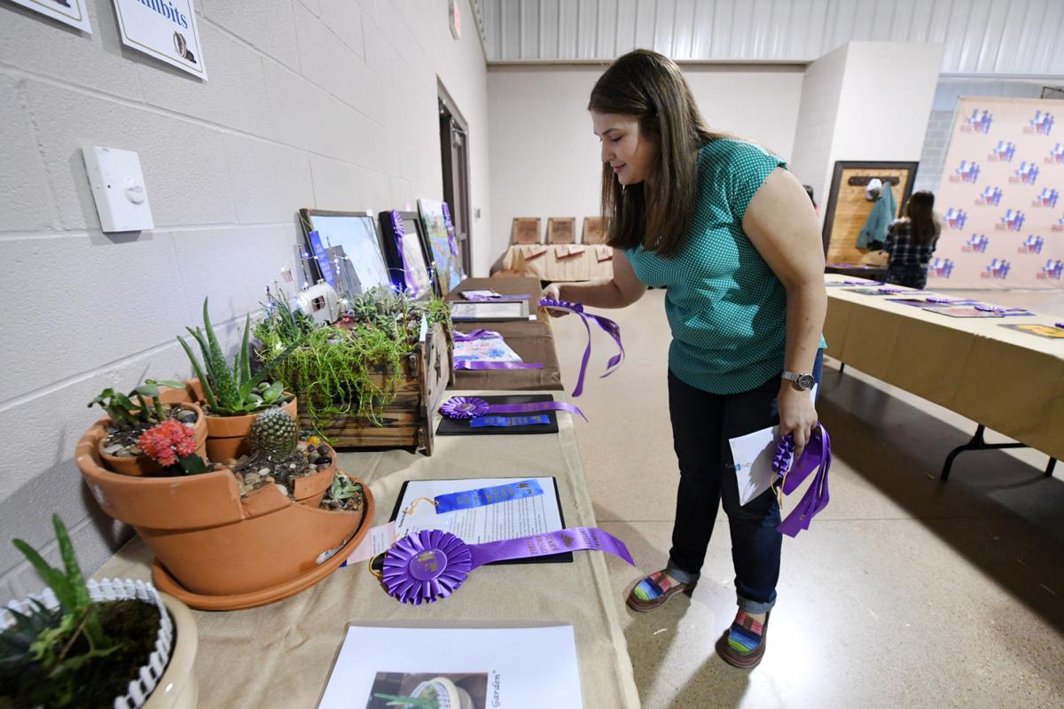 Brazos County Youth Livestock Show