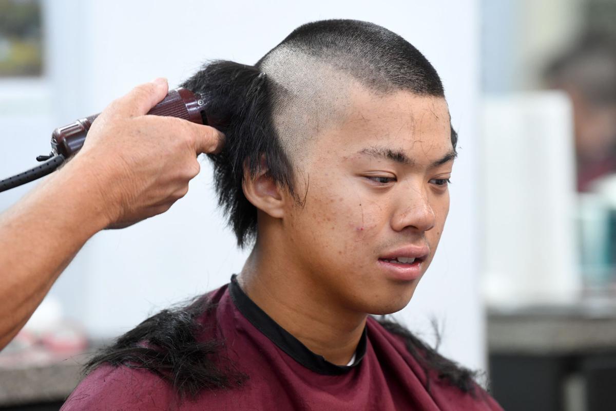 Photos Fish Haircuts